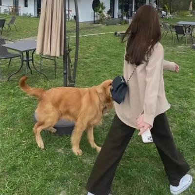 天使报喜